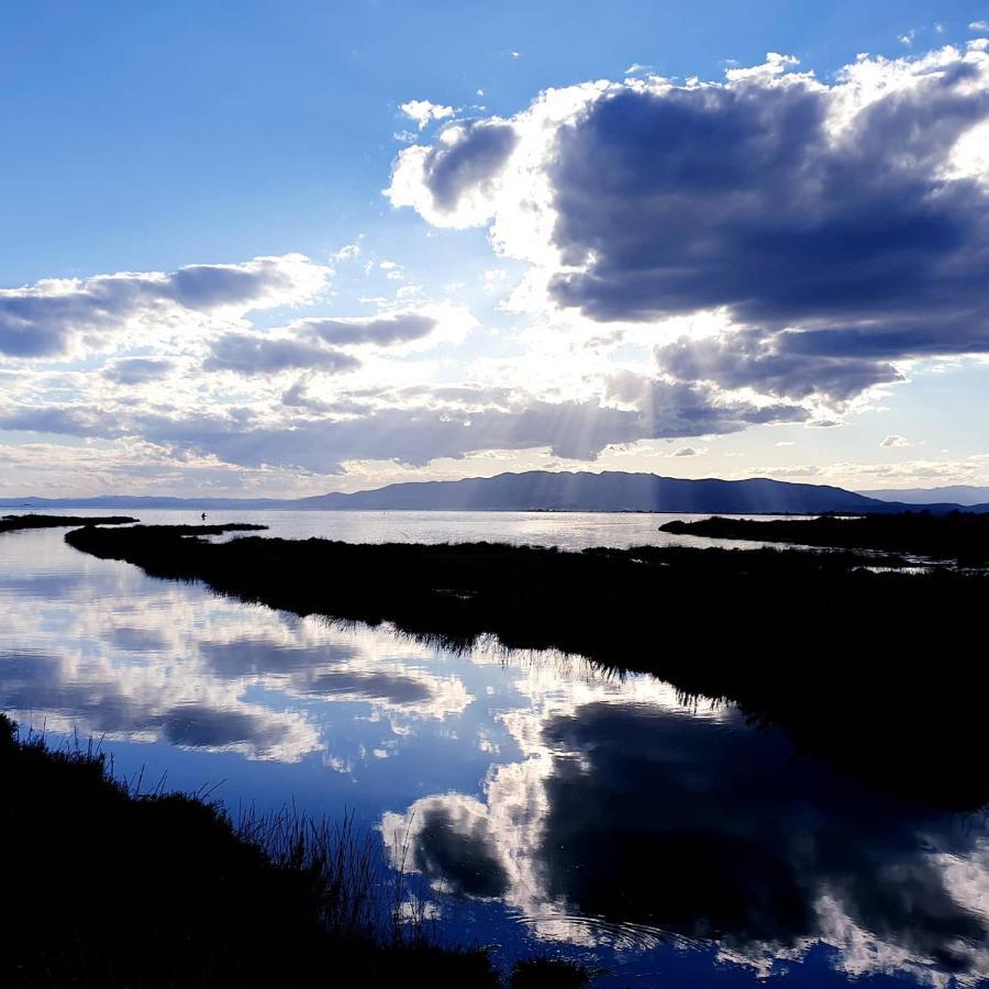 La Finestra del Delta Affittacamere L'Ampolla Esterno foto