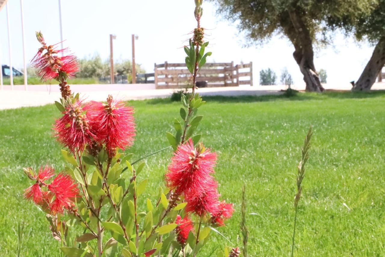 La Finestra del Delta Affittacamere L'Ampolla Esterno foto