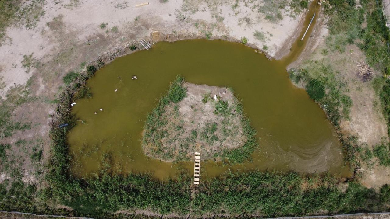 La Finestra del Delta Affittacamere L'Ampolla Esterno foto